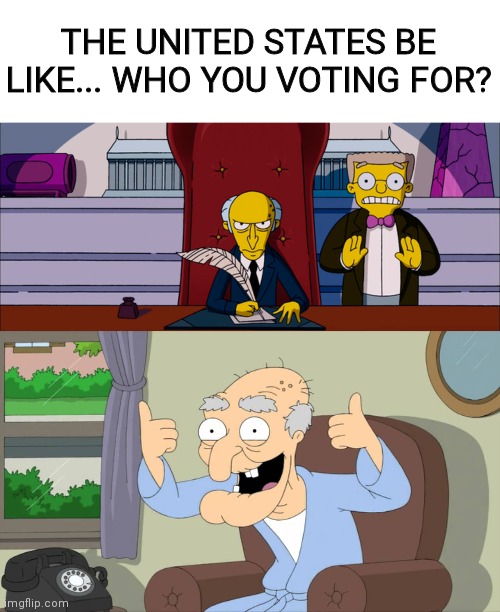 Great Choice America | THE UNITED STATES BE LIKE... WHO YOU VOTING FOR? | image tagged in vote,presidential race,who would win,american politics | made w/ Imgflip meme maker