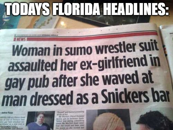 Daily Florida News | TODAYS FLORIDA HEADLINES: | image tagged in florida man,news | made w/ Imgflip meme maker