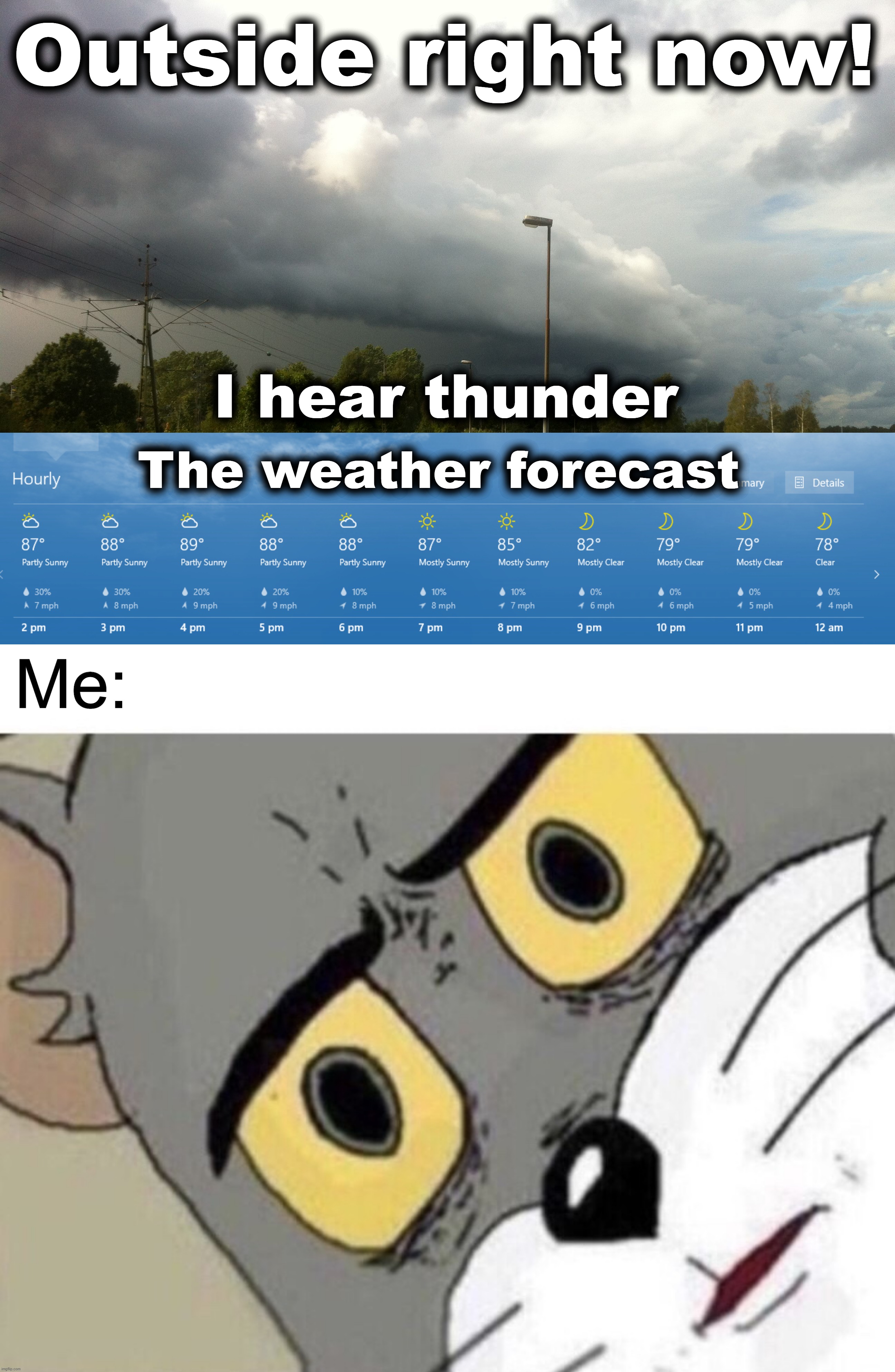 Stevie Nicks Lied To Me! |  Outside right now! I hear thunder; The weather forecast; Me: | image tagged in me everyone else,stevie nicks,thunder,storm,partly sunny | made w/ Imgflip meme maker