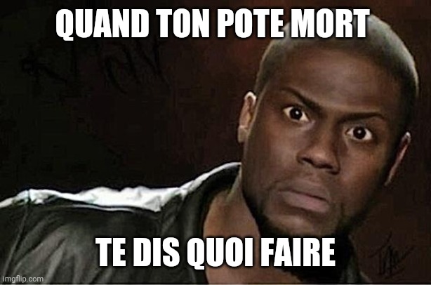 Kevin Hart Meme | QUAND TON POTE MORT; TE DIS QUOI FAIRE | image tagged in memes,kevin hart | made w/ Imgflip meme maker