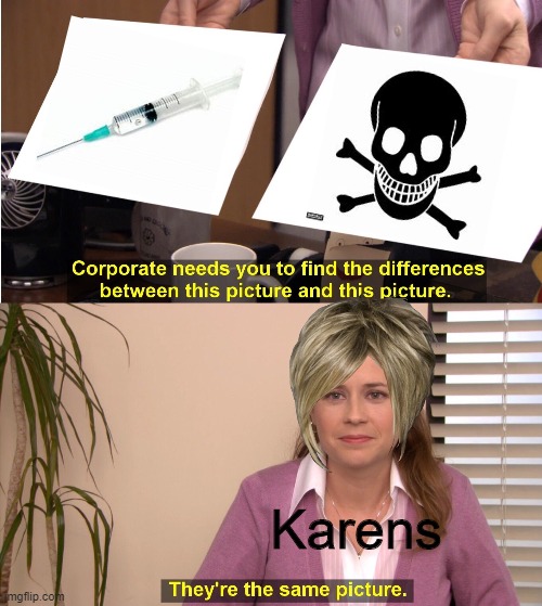 Karens and the world | Karens | image tagged in memes,they're the same picture | made w/ Imgflip meme maker