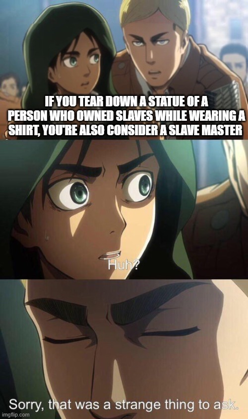 That was a strange thing to ask | IF YOU TEAR DOWN A STATUE OF A PERSON WHO OWNED SLAVES WHILE WEARING A SHIRT, YOU'RE ALSO CONSIDER A SLAVE MASTER | image tagged in that was a strange thing to ask | made w/ Imgflip meme maker