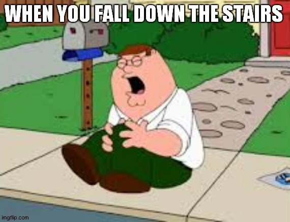 WHEN YOU FALL DOWN THE STAIRS | image tagged in peter griffin | made w/ Imgflip meme maker
