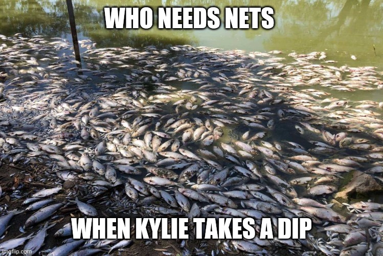 WHO NEEDS NETS WHEN KYLIE TAKES A DIP | image tagged in menindee dead fish | made w/ Imgflip meme maker