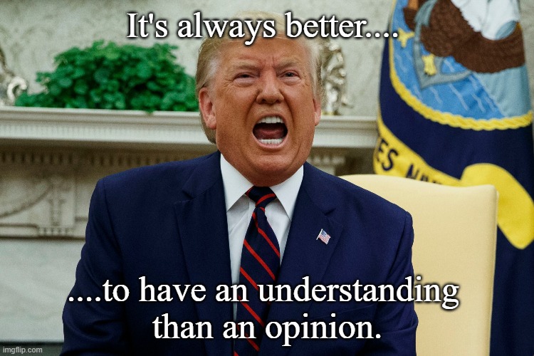It's always better.... | It's always better.... ....to have an understanding 
than an opinion. | image tagged in an understanding,nevertrump | made w/ Imgflip meme maker