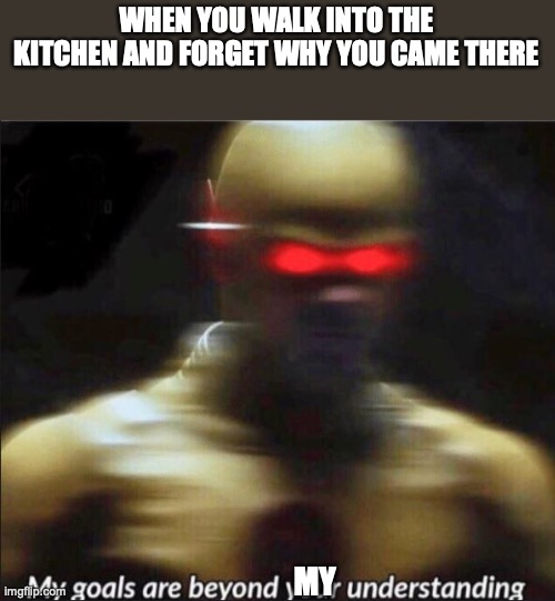 hmmm | WHEN YOU WALK INTO THE KITCHEN AND FORGET WHY YOU CAME THERE; MY | image tagged in my goals are beyond your understanding | made w/ Imgflip meme maker