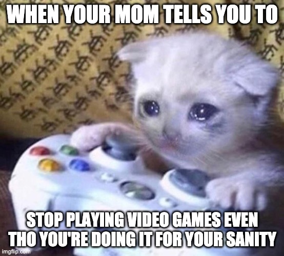 its relatable tho | WHEN YOUR MOM TELLS YOU TO; STOP PLAYING VIDEO GAMES EVEN THO YOU'RE DOING IT FOR YOUR SANITY | image tagged in sad gamer cat | made w/ Imgflip meme maker