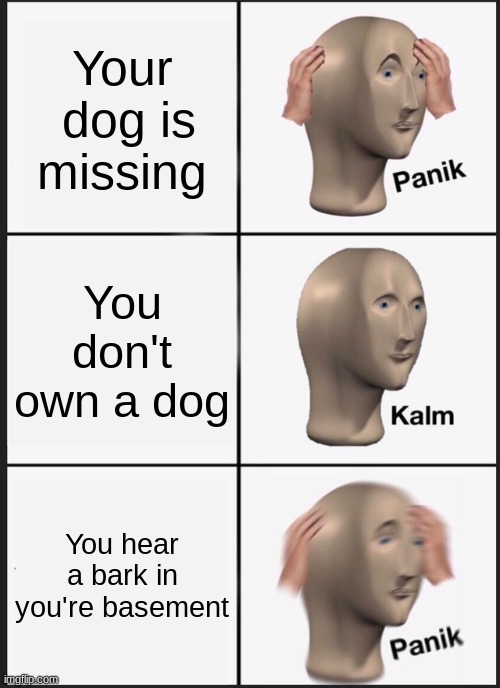 O noes | Your  dog is missing; You don't own a dog; You hear a bark in you're basement | image tagged in memes,panik kalm panik | made w/ Imgflip meme maker