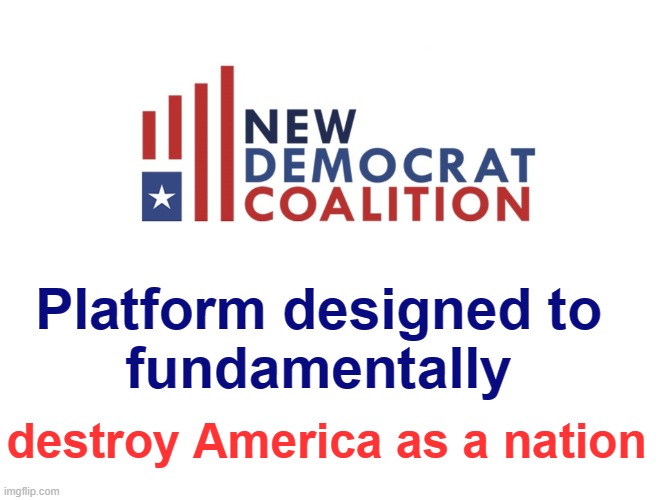 Democrat Platform Designed to Destroy America | Platform designed to 
fundamentally; destroy America as a nation | image tagged in democrats,america,biden,democrat party,destroy | made w/ Imgflip meme maker