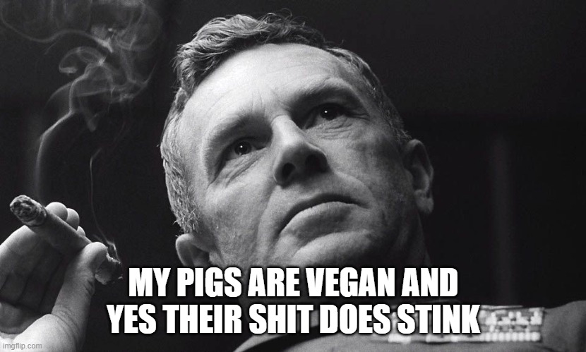 MY PIGS ARE VEGAN AND YES THEIR SHIT DOES STINK | made w/ Imgflip meme maker