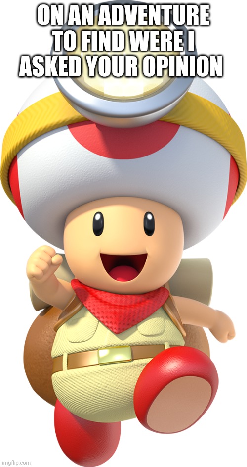 Captain toad | ON AN ADVENTURE TO FIND WERE I ASKED YOUR OPINION | image tagged in captain toad,memes,mario,opinions | made w/ Imgflip meme maker