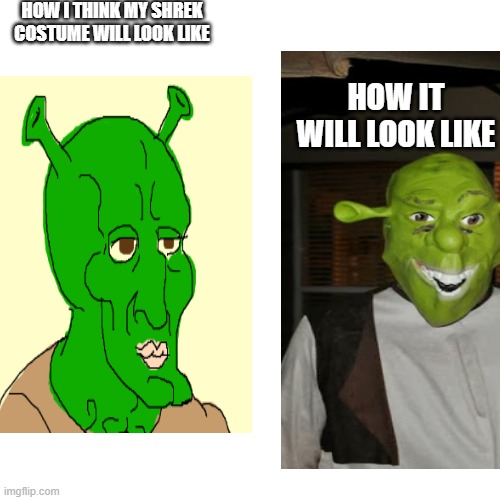HOW I THINK MY SHREK COSTUME WILL LOOK LIKE; HOW IT WILL LOOK LIKE | image tagged in memes | made w/ Imgflip meme maker