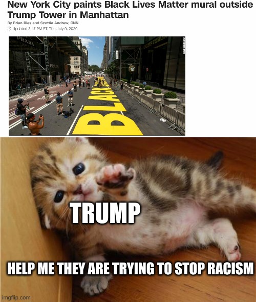 Got trump good, cant wait till bunker boy has a mental breakdown on twitter because of this | TRUMP; HELP ME THEY ARE TRYING TO STOP RACISM | image tagged in help me kitten,donald trump is an idiot,justice | made w/ Imgflip meme maker