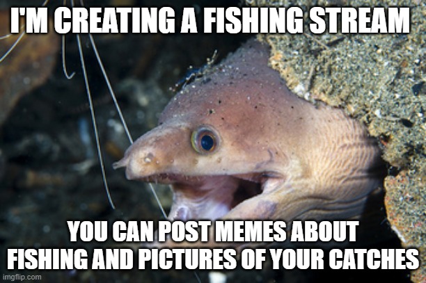 here's the link imgflip.com/m/fishing | I'M CREATING A FISHING STREAM; YOU CAN POST MEMES ABOUT FISHING AND PICTURES OF YOUR CATCHES | image tagged in happy eel,eel,fishing,stream,streams | made w/ Imgflip meme maker