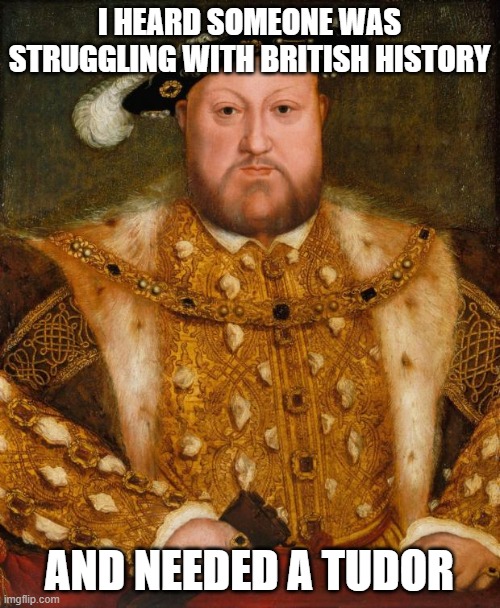 King Henry VIII |  I HEARD SOMEONE WAS STRUGGLING WITH BRITISH HISTORY; AND NEEDED A TUDOR | image tagged in king henry viii | made w/ Imgflip meme maker