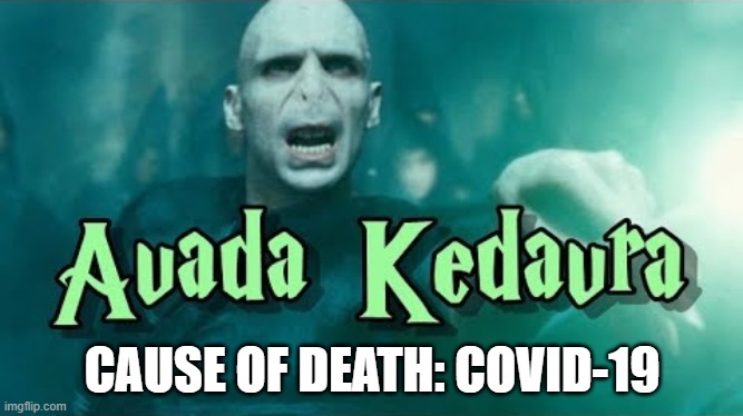 Avada Kedavra -- Covid-19 | CAUSE OF DEATH: COVID-19 | image tagged in harry potter,covid-19,coronavirus | made w/ Imgflip meme maker