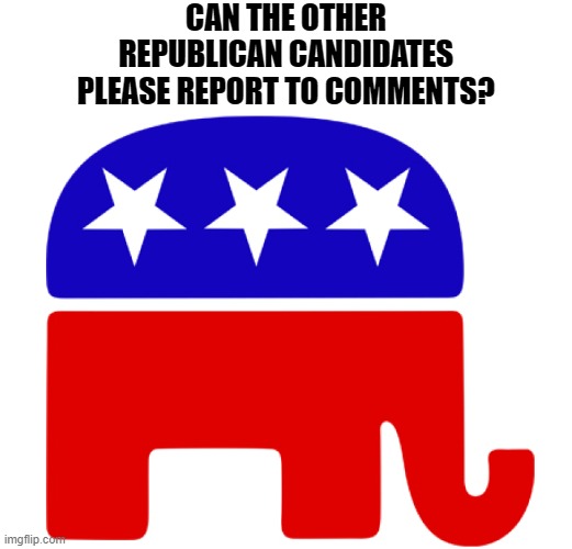 Republican candidates please report to comments | CAN THE OTHER REPUBLICAN CANDIDATES PLEASE REPORT TO COMMENTS? | image tagged in vp | made w/ Imgflip meme maker