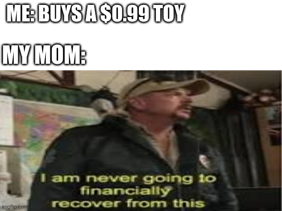 The cheapness is real with this one | ME: BUYS A $0.99 TOY; MY MOM: | image tagged in broke,poor,sad | made w/ Imgflip meme maker