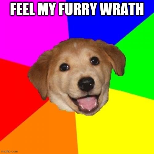 Advice Dog | FEEL MY FURRY WRATH | image tagged in memes,advice dog | made w/ Imgflip meme maker