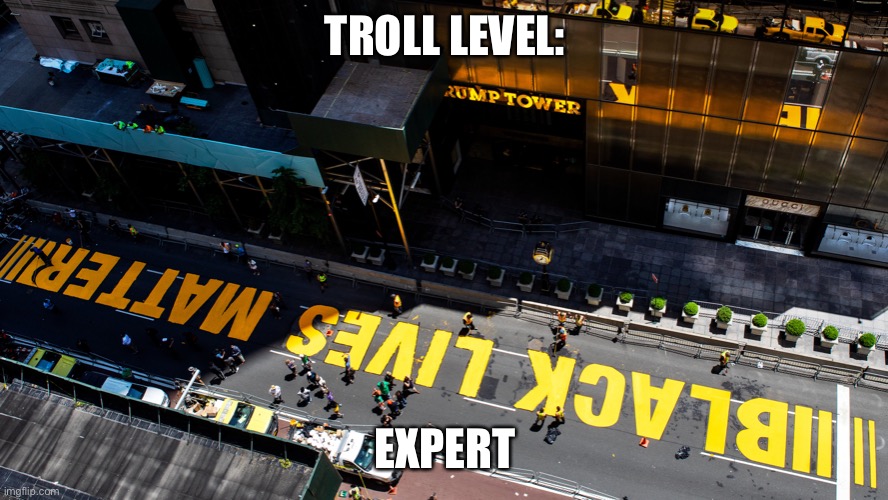 Troll trump |  TROLL LEVEL:; EXPERT | image tagged in dump trump,blm,troll award | made w/ Imgflip meme maker