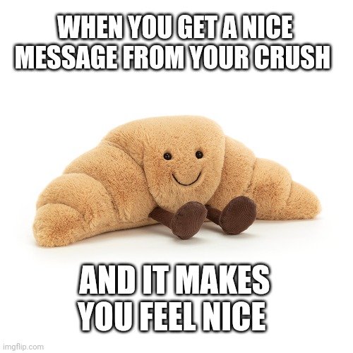 Happy croissant | WHEN YOU GET A NICE MESSAGE FROM YOUR CRUSH; AND IT MAKES YOU FEEL NICE | image tagged in croissant,memes,crush | made w/ Imgflip meme maker