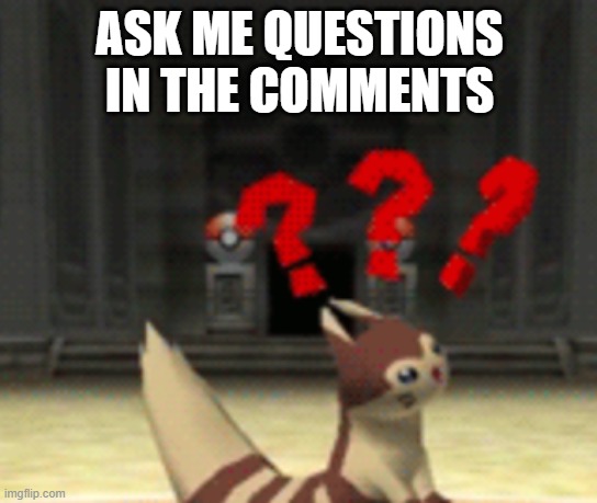 Get to know your candidate! | ASK ME QUESTIONS IN THE COMMENTS | image tagged in confused furret | made w/ Imgflip meme maker