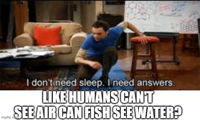 i dont need sleep i need answers | LIKE HUMANS CAN'T SEE AIR CAN FISH SEE WATER? | image tagged in i dont need sleep i need answers | made w/ Imgflip meme maker
