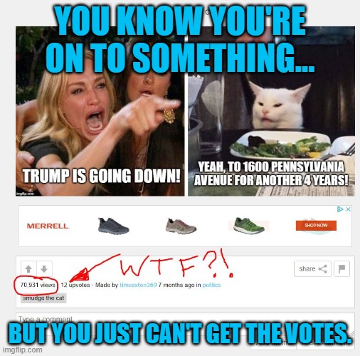 Who's got the votes? | YOU KNOW YOU'RE ON TO SOMETHING... BUT YOU JUST CAN'T GET THE VOTES. | image tagged in upvotes,trump,smudge the cat,imgflip | made w/ Imgflip meme maker