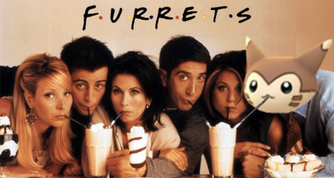 F U R R E T S Blank Meme Template