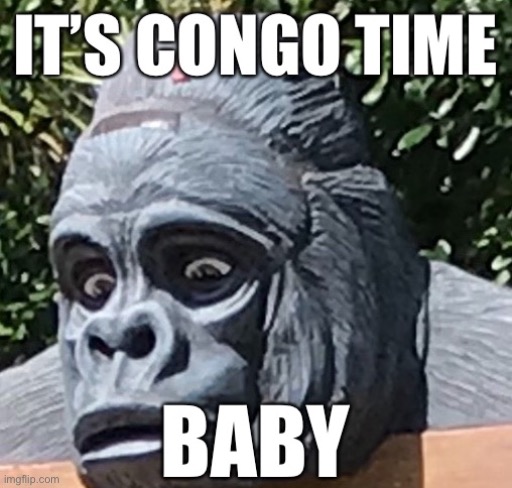 Congo Bongo | image tagged in congo bongo | made w/ Imgflip meme maker