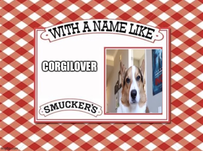 Smuckers birhday | CORGILOVER | image tagged in smuckers birhday | made w/ Imgflip meme maker