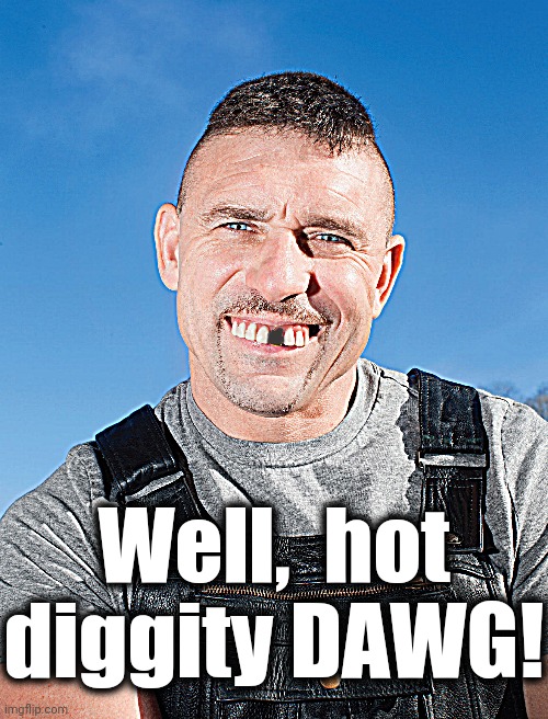 Well,  hot diggity DAWG! | made w/ Imgflip meme maker