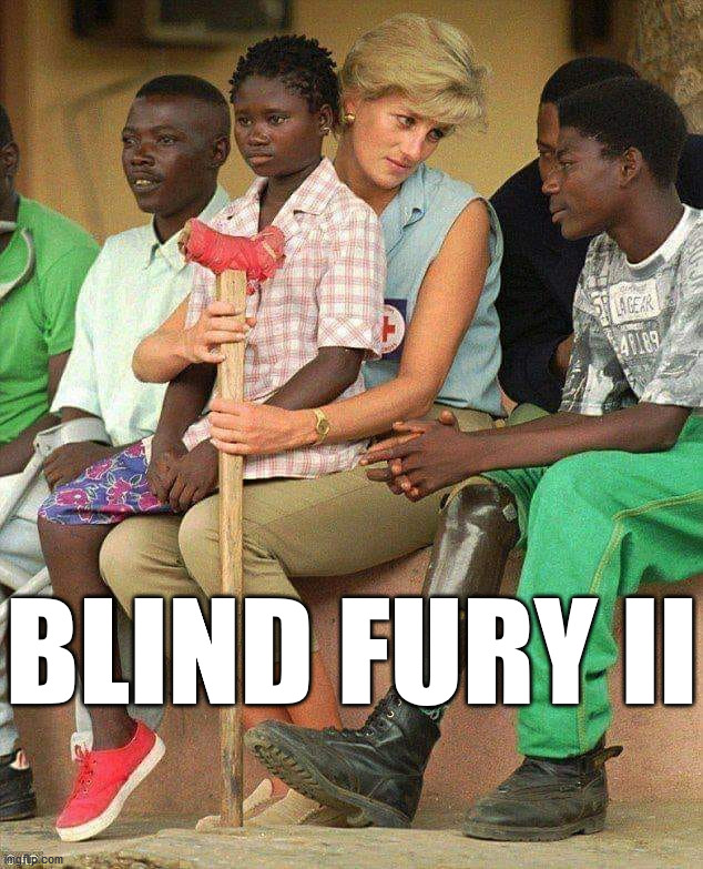 Diana | BLIND FURY II | image tagged in diana | made w/ Imgflip meme maker