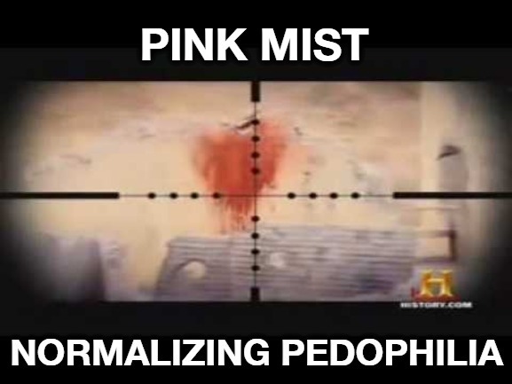 Normalizing Pedophilia with a .50 caliber Barrett | image tagged in pedophilia,pink mist,pedophiles,target practice,pedo,50 caliber | made w/ Imgflip meme maker