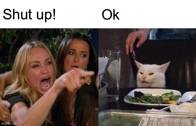 Woman Yelling At Cat | Shut up! Ok | image tagged in memes,woman yelling at cat | made w/ Imgflip meme maker