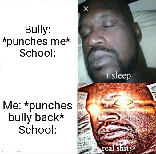 Sleeping Shaq Meme | Bully: *punches me* 
School:; Me: *punches bully back* 
School: | image tagged in memes,sleeping shaq | made w/ Imgflip meme maker