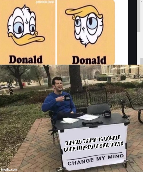 DONALD TRUMP IS DONALD DUCK FLIPPED UPSIDE DOWN | image tagged in memes,change my mind | made w/ Imgflip meme maker