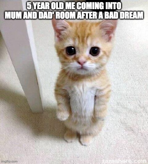 Cute Cat Meme | 5 YEAR OLD ME COMING INTO MUM AND DAD' ROOM AFTER A BAD DREAM | image tagged in memes,cute cat | made w/ Imgflip meme maker