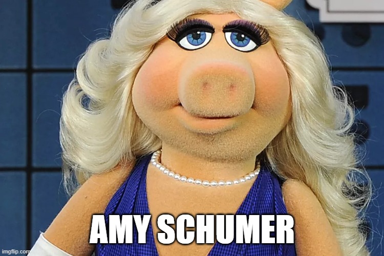 AMY SCHUMER | image tagged in misspiggy,amyschumer | made w/ Imgflip meme maker