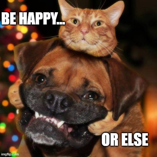 BE HAPPY | BE HAPPY... OR ELSE | image tagged in dogs an cats | made w/ Imgflip meme maker