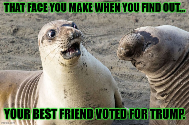We USED to be friends... | THAT FACE YOU MAKE WHEN YOU FIND OUT... YOUR BEST FRIEND VOTED FOR TRUMP. | image tagged in donald trump is an douche,dumb people,vote | made w/ Imgflip meme maker