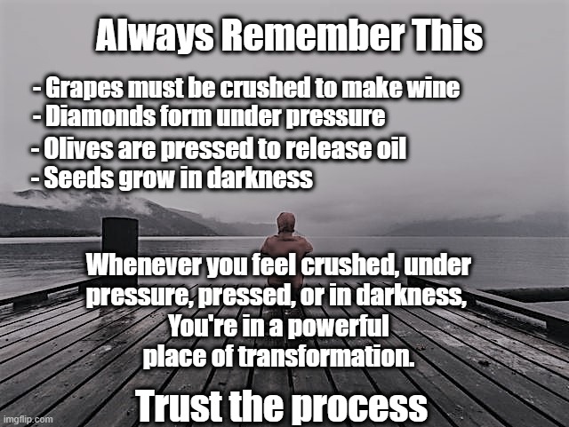 Trust the Process |  Always Remember This; - Grapes must be crushed to make wine                
    - Diamonds form under pressure; - Olives are pressed to release oil
  - Seeds grow in darkness; Whenever you feel crushed, under pressure, pressed, or in darkness, You're in a powerful place of transformation. Trust the process | image tagged in words of wisdom | made w/ Imgflip meme maker