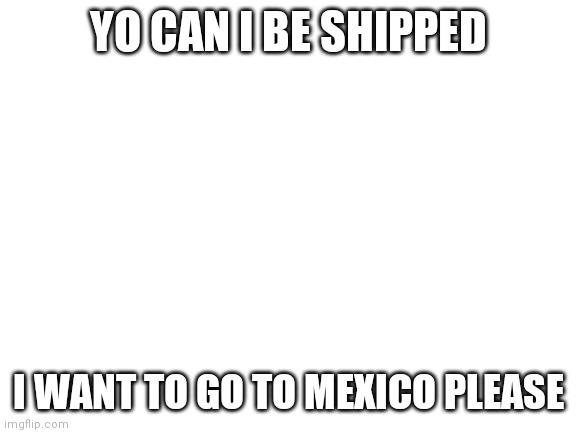 Blank White Template | YO CAN I BE SHIPPED; I WANT TO GO TO MEXICO PLEASE | image tagged in blank white template,not a ship | made w/ Imgflip meme maker