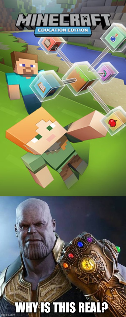 Why? | WHY IS THIS REAL? | image tagged in thanos gauntlet meme wait why is this real,minecraft | made w/ Imgflip meme maker