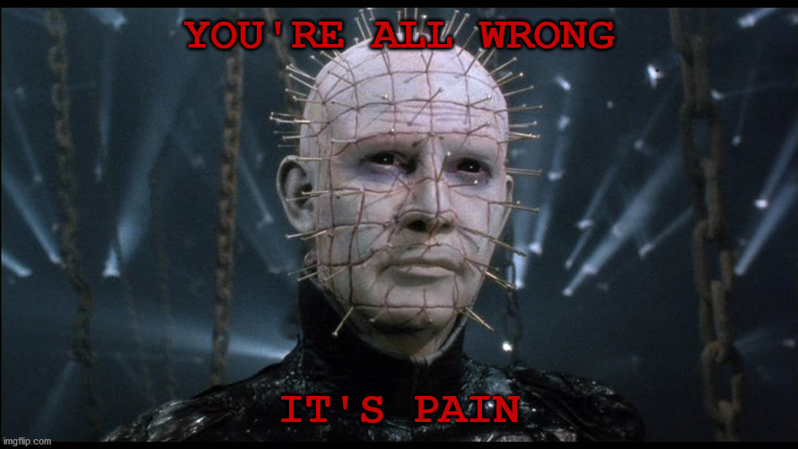 Hellraiser | YOU'RE ALL WRONG IT'S PAIN | image tagged in hellraiser | made w/ Imgflip meme maker