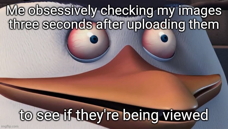 Shook Skipper | Me obsessively checking my images three seconds after uploading them; to see if they're being viewed | image tagged in shook skipper | made w/ Imgflip meme maker
