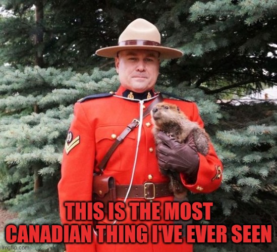 Captain Canada | THIS IS THE MOST CANADIAN THING I'VE EVER SEEN | image tagged in captain canada,canada,beaver,candaian,mounties | made w/ Imgflip meme maker