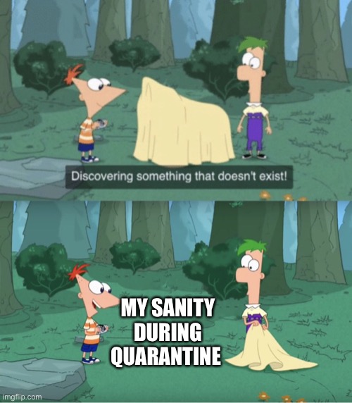 WIHOOOJFKSSJDSDCKJAEJHFCHWKFEC | MY SANITY DURING QUARANTINE | image tagged in discovering something that doesnt exist | made w/ Imgflip meme maker