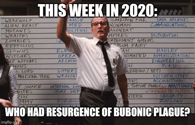 This Week in 2020 | THIS WEEK IN 2020:; WHO HAD RESURGENCE OF BUBONIC PLAGUE? | image tagged in cabin the the woods | made w/ Imgflip meme maker