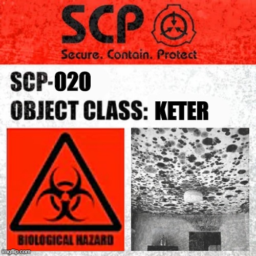 SCP-020 | 020; KETER | image tagged in scp label template keter | made w/ Imgflip meme maker